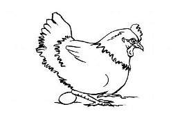 Comptine la poule